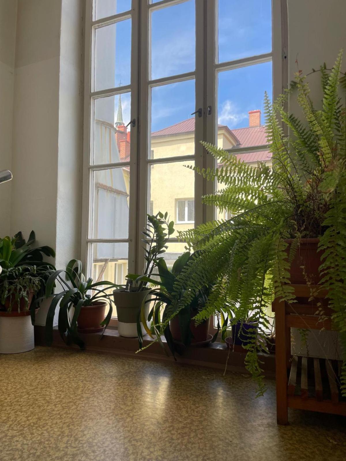 Hostel Moravia Ostrava Luaran gambar